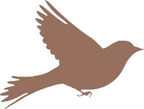 Bird_Brown