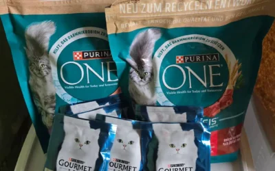 Ein großes Herz für kleine Pfoten – Danke, Greta!