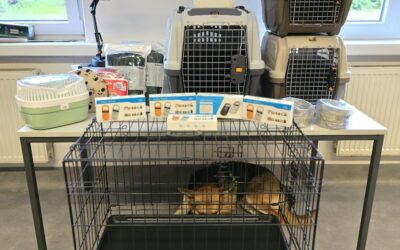Stadt Tangermünde unterstützt Tierschutz- Hilfe für herrenlose Katzen